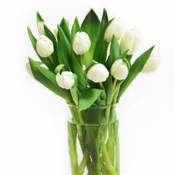 White tulips arranged in a clear glass vase