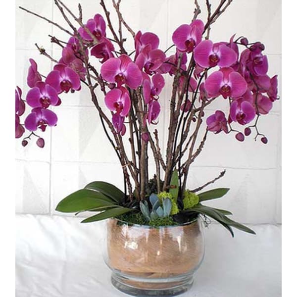 Pink orchids arranged in a glass vase with branches and broad leaves