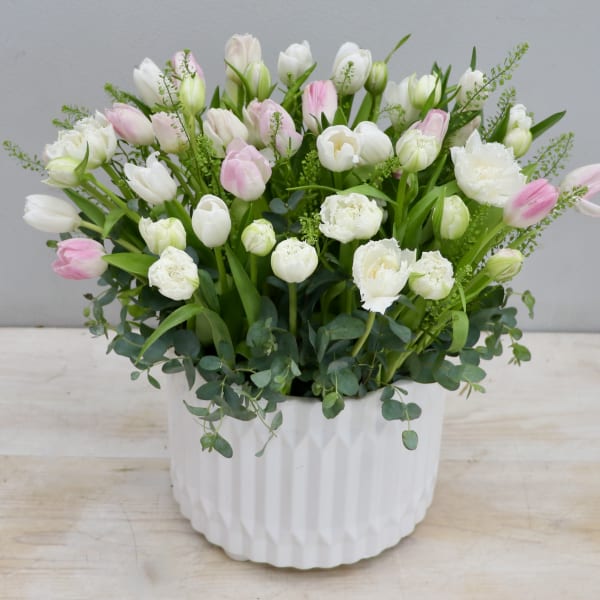 White and pale pink tulips in a white textured ceramic pot with lush foliage