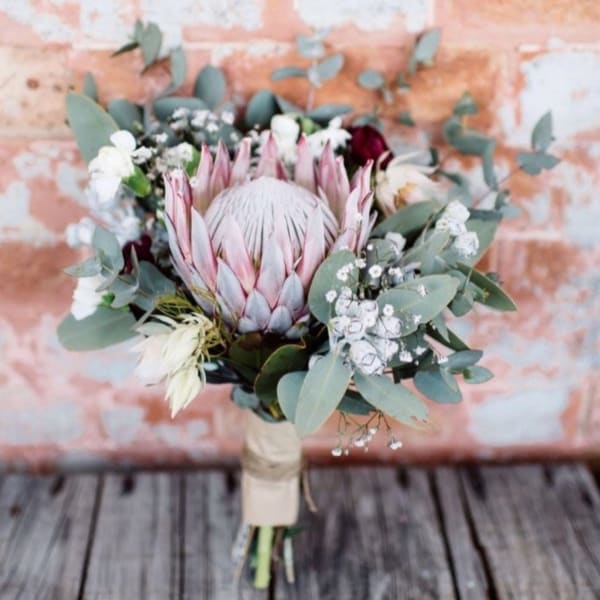 Bouquet with a pink protea and white flowers