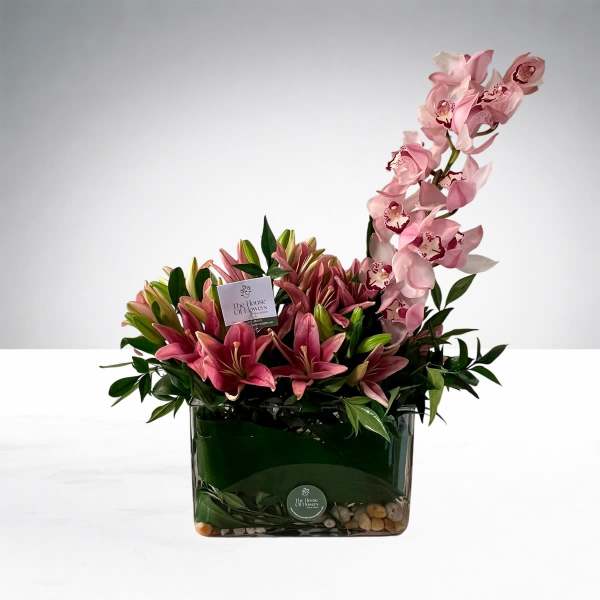 Blush Orchid Elegance by The House of Flowers