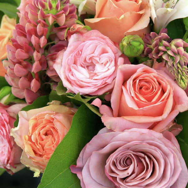 Close-up bouquet of pink and peach roses with green buds