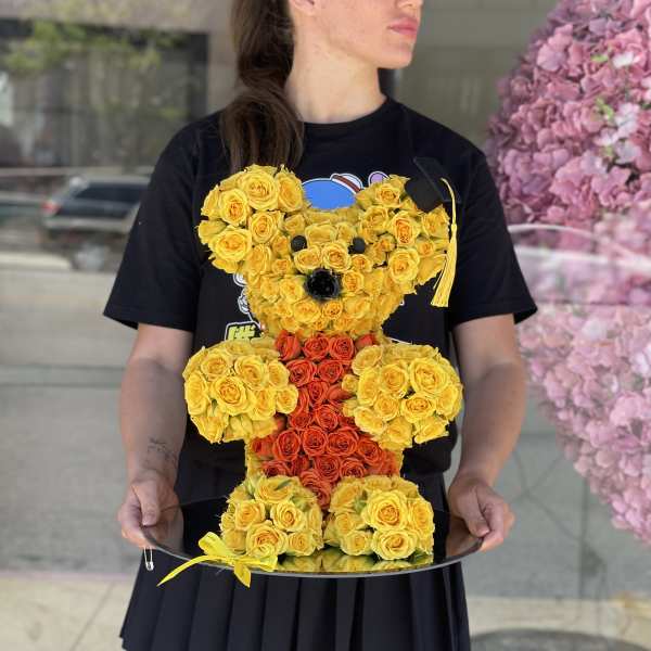Bear Grad