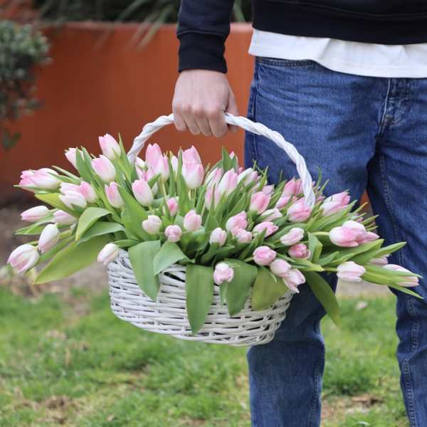 Basket of pink tulips with green leaves
