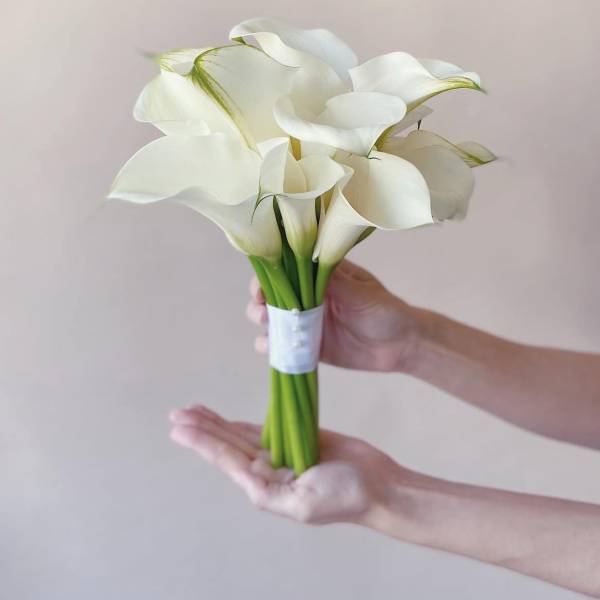 Bouquet of white calla lilies tied with a white band