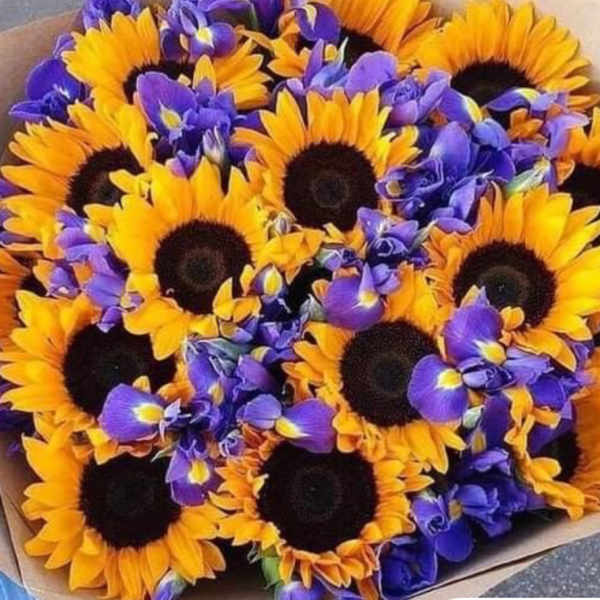 blue yellow lust