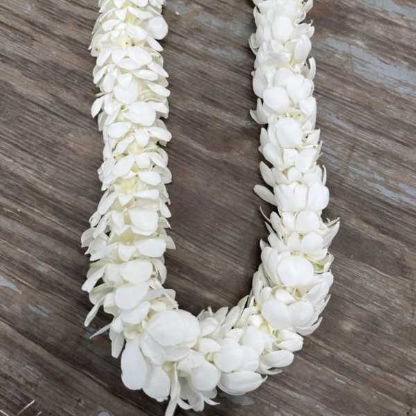 White Double Orchid lei