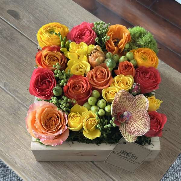 Spring Box