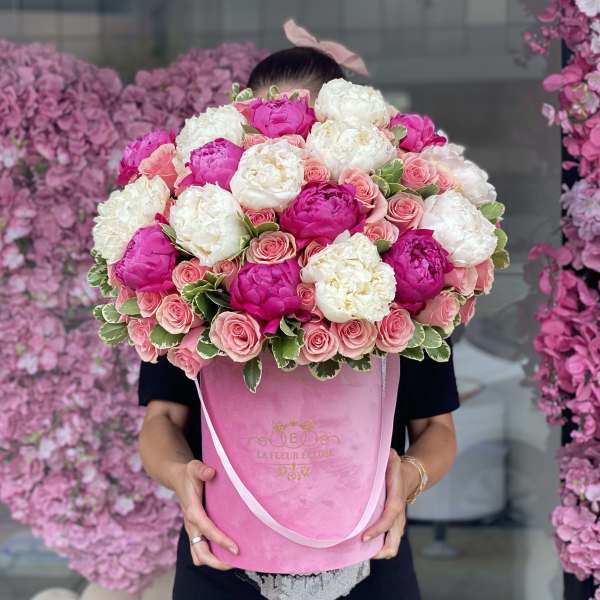 Peony Love