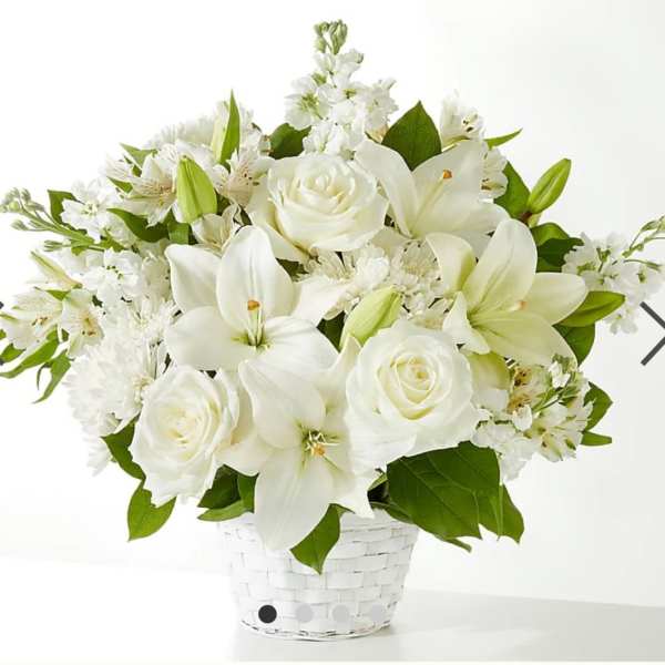 Pure basket white