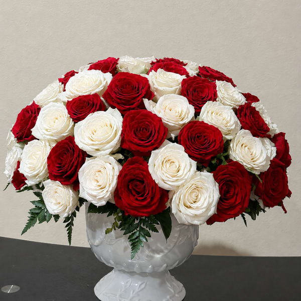 Red & white Roses in cup