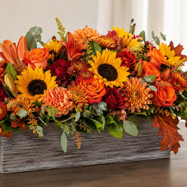 Fall Harvest Glow