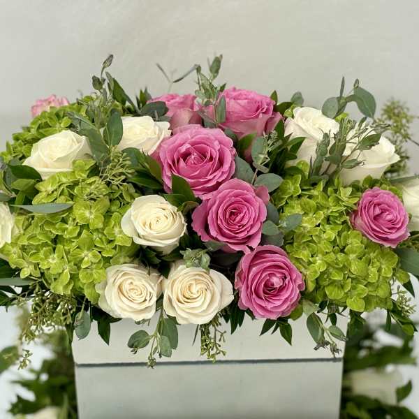 Pink and white roses arranged with green hydrangeas in a white box