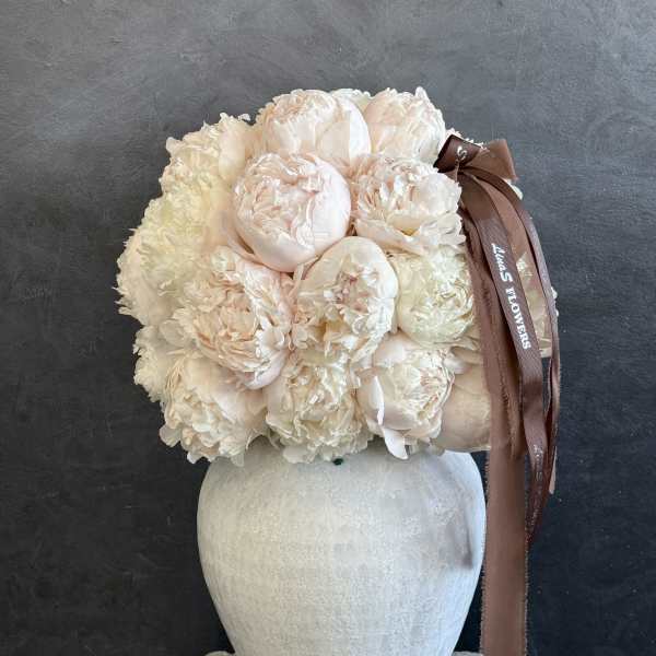 Ivory Peony Dream