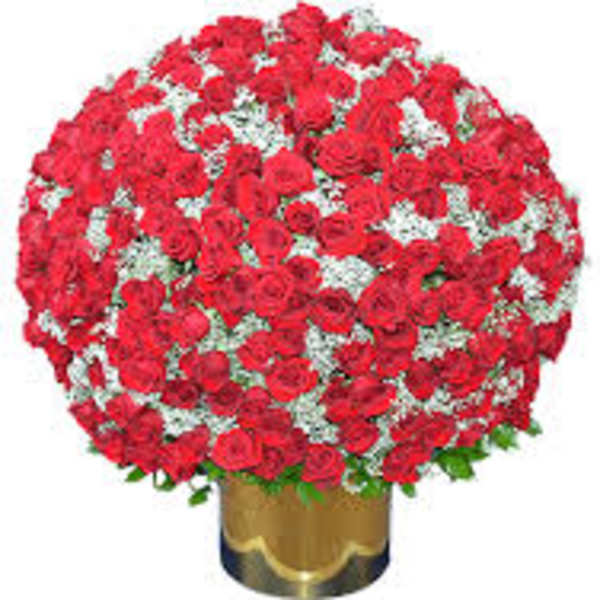 Large bouquet of red roses in a gold vase