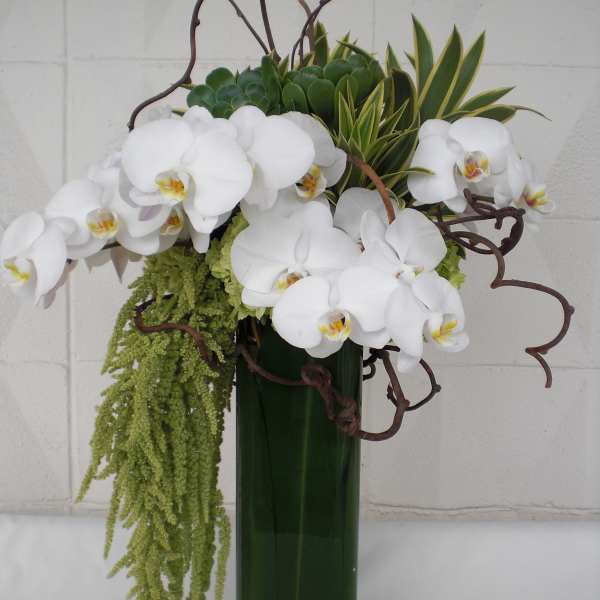 White orchids arranged in a tall green vase with trailing greenery