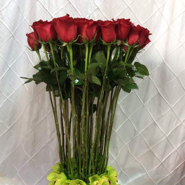 Tall vase arrangement of red roses with green orchids at the base