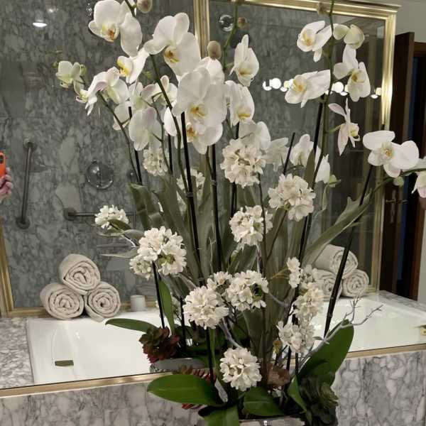 Tall white orchid arrangement in a decorative silver vase