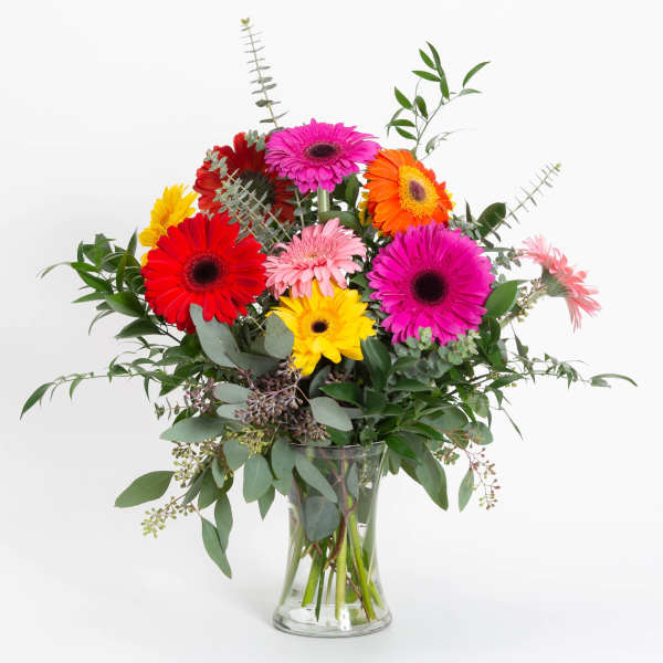 Bright mixed gerbera bouquet in a clear glass vase