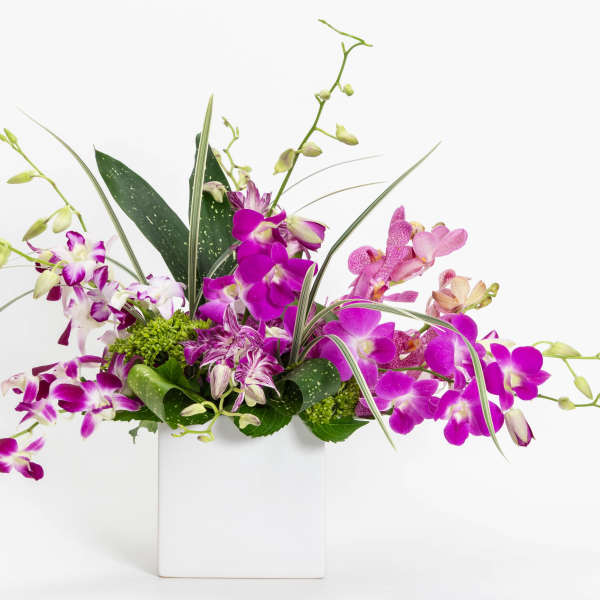 Purple orchid arrangement in a white square vase