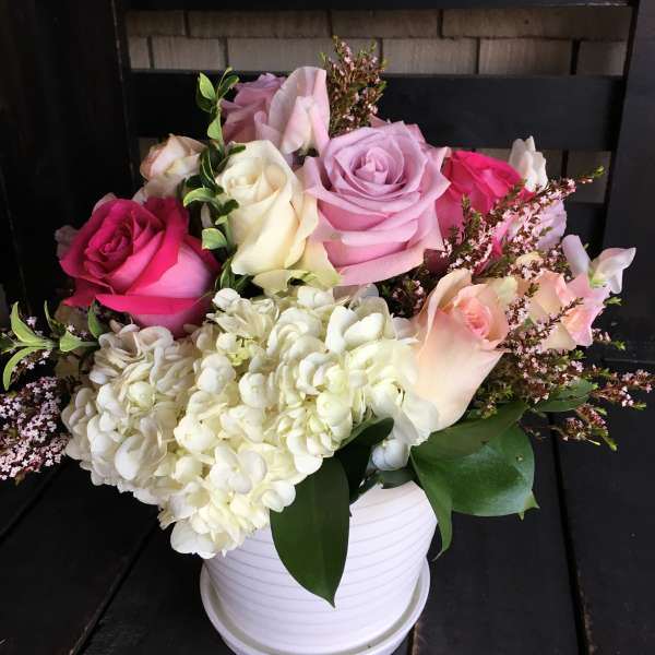 Pink and white roses with hydrangeas in a white pot