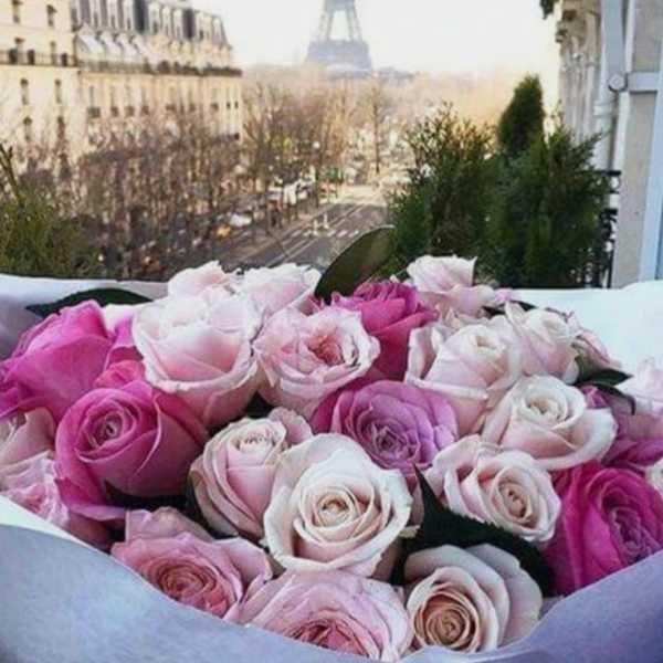 Bouquet of pink and pale roses with the Eiffel Tower in the background