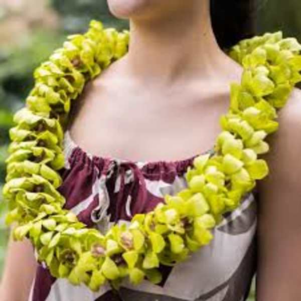Person wearing a bright yellow flower lei over a patterned dress