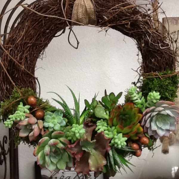 Succulent wreath with a grapevine ring and mixed rosette succulents