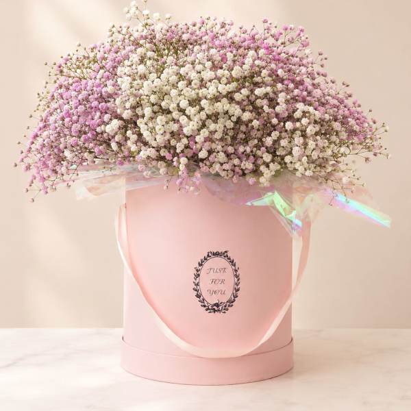 Blush Baby’s Breath Cloud