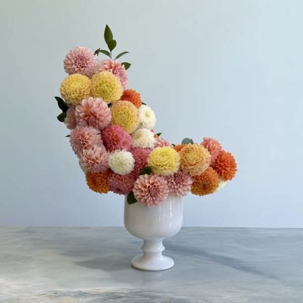 Starburst Dahlia