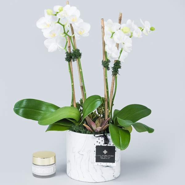 White orchids in a marble-look pot with a small candle beside it