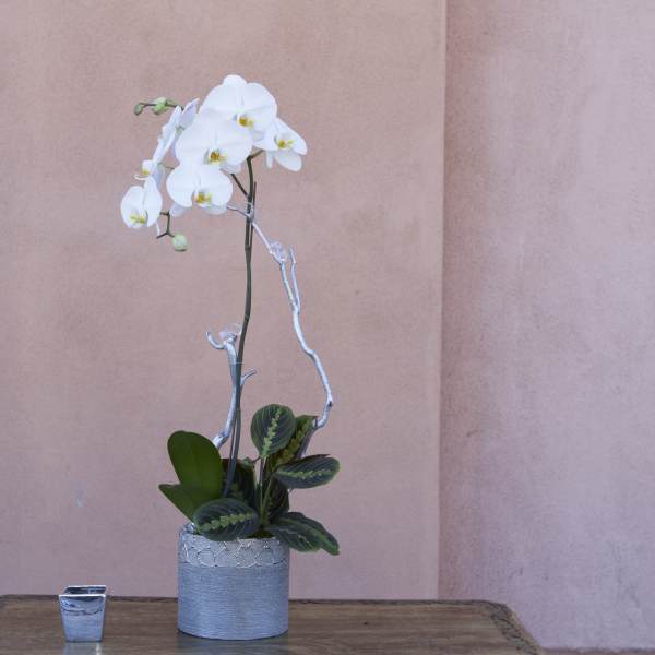 White orchid arrangement in a silver pot with a small candle beside it