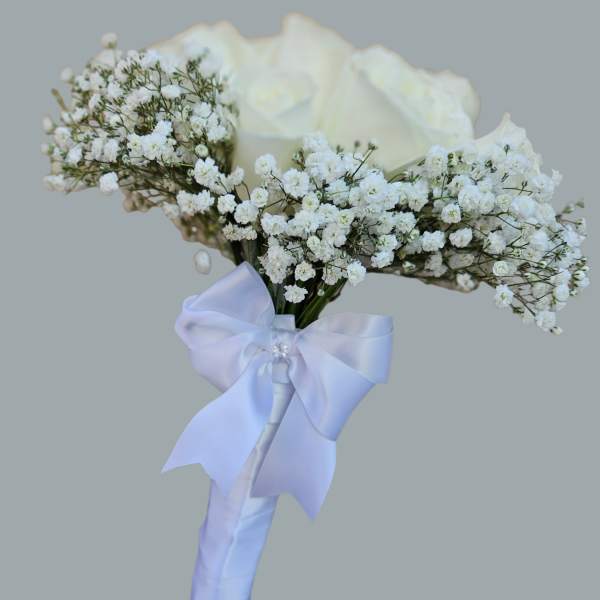 Novia Blanca