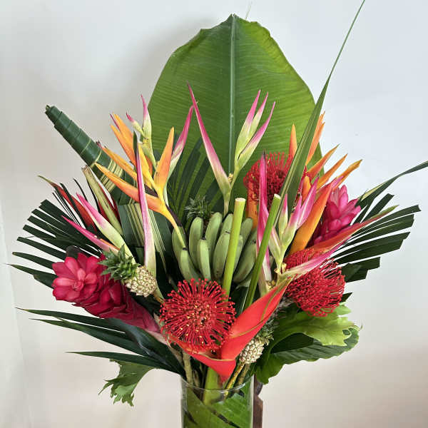Tropical Splash