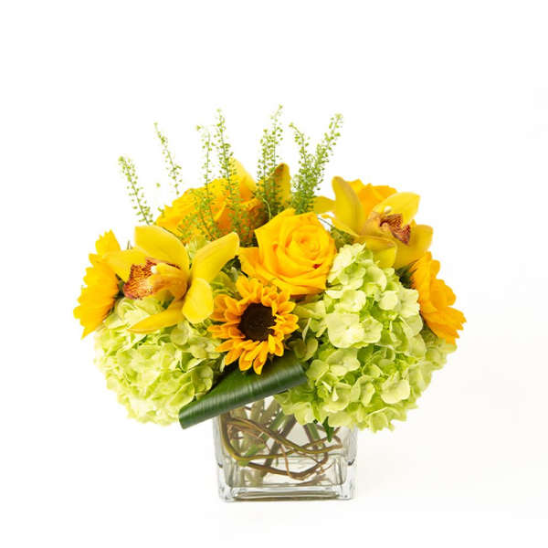 Low arrangement of yellow roses, orchids, and sunflowers with green hydrangeas in a glass cube vase
