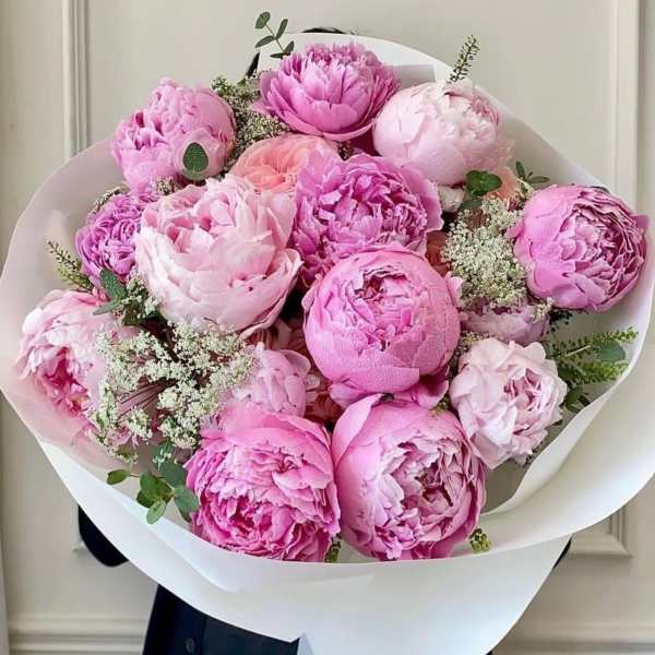 Bouquet of pink peonies wrapped in white paper