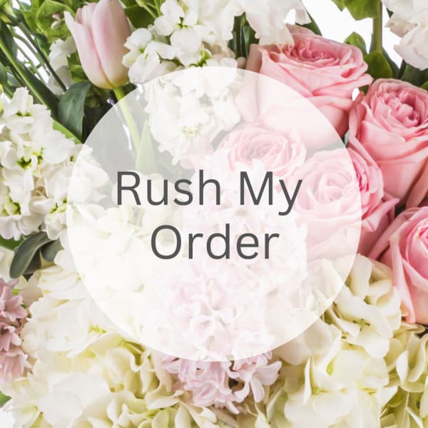 Same-Day Rush Delivery