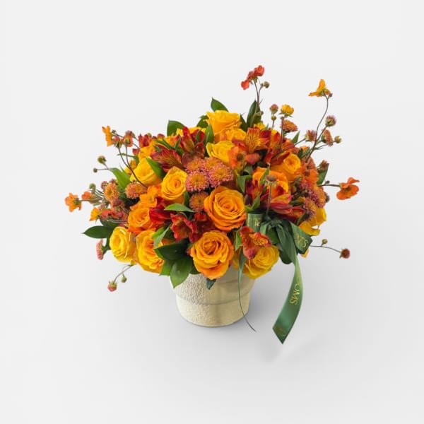 Citrus Sunset Bloom
