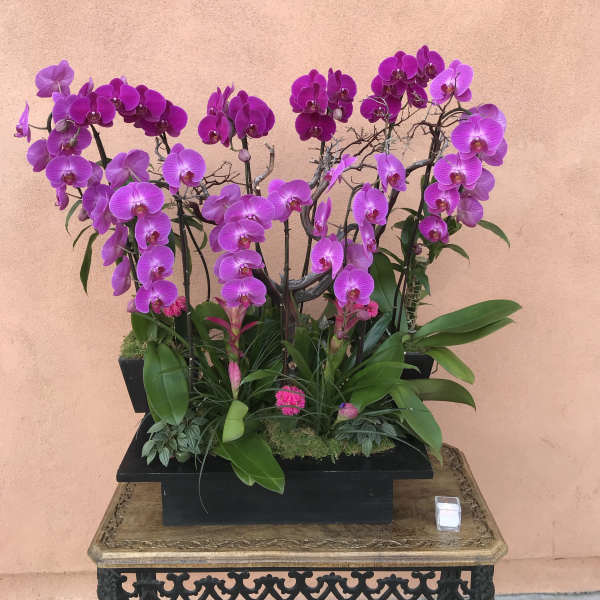 Purple orchid arrangement in a black rectangular planter
