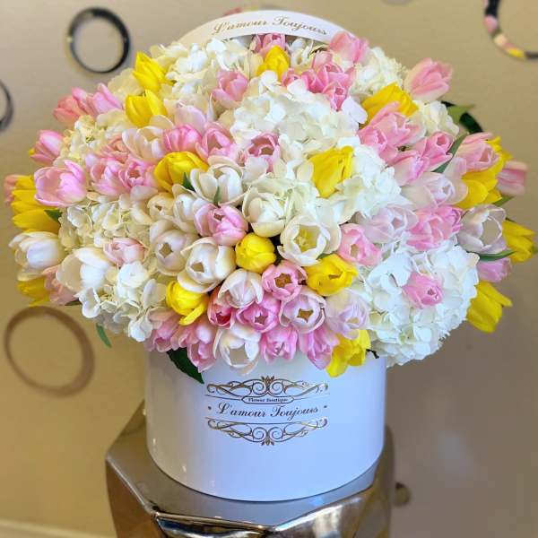Round box arrangement of white, pink, and yellow tulips mixed with white hydrangeas.
