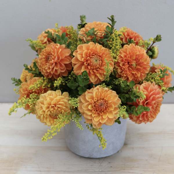 Low arrangement of orange dahlias with yellow accents in a gray ceramic pot