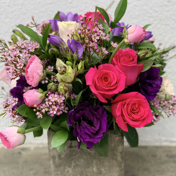 Spring Purple and pink