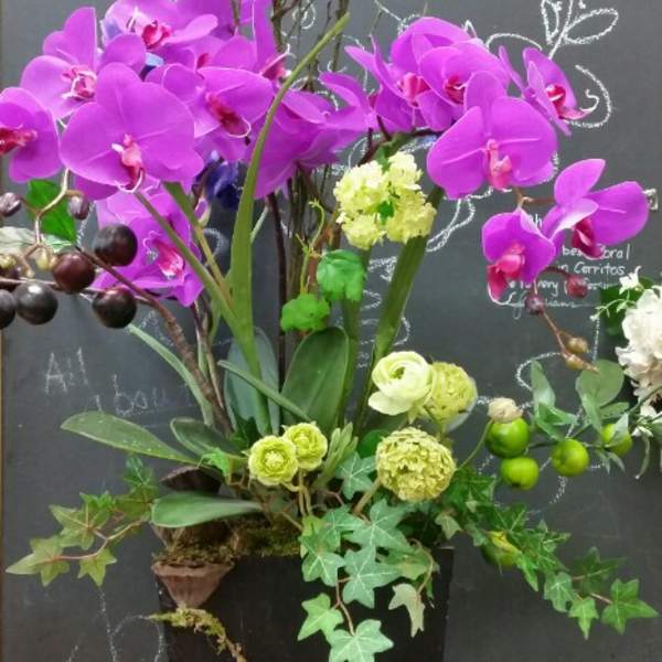 Tall arrangement of purple orchids in a black vase with green accents