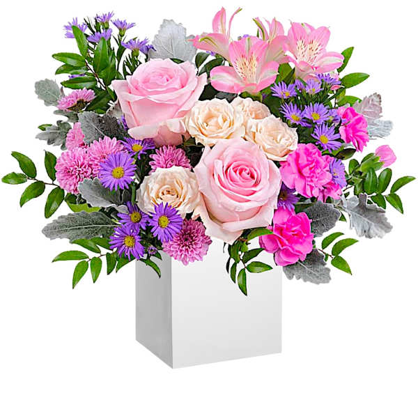 Pink and cream roses with purple daisies in a white vase