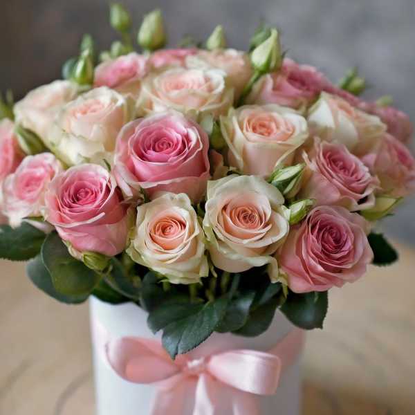 Pink and cream roses in a white hat box with a pink ribbon