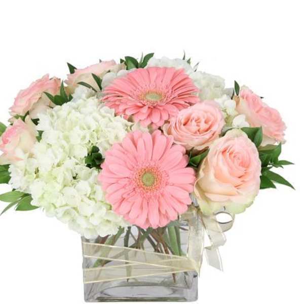 Delicate arrangement