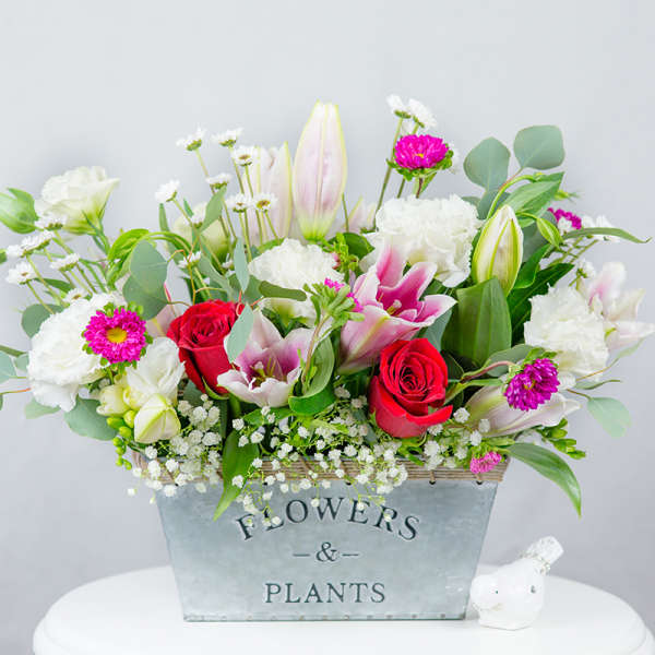 Mixed bouquet in a metal planter with red roses, white blooms, and pink flowers