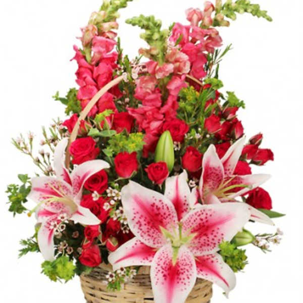 Basket arrangement of red roses, pink snapdragons, and pink lilies