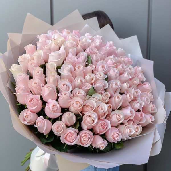 Blush Whisper Roses _Same Day Delivery