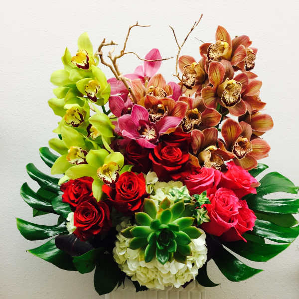 Colorful orchid and rose arrangement in a white square vase